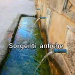 Philia Melicucca