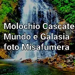 Philia * Melicucca