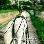 Philia Melicucca