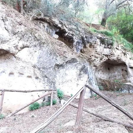 Philia Melicucca