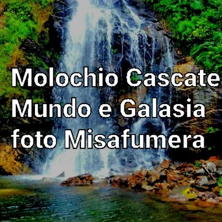 Philia * Melicucca