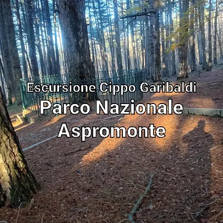 Philia Holiday home Melicucca